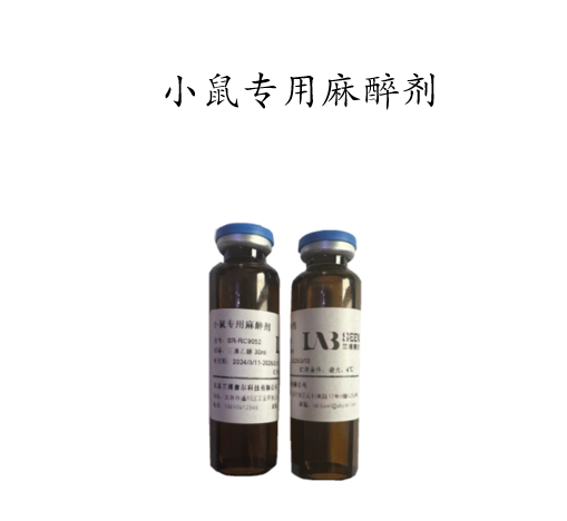 手机夜景拍摄完全指南：用手机拍出惊艳的夜景大片配图1