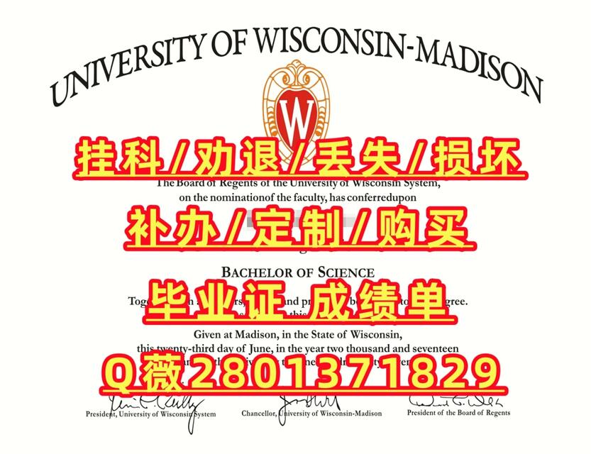 VSCO调色完全攻略:用手机打造专业胶片质感配图