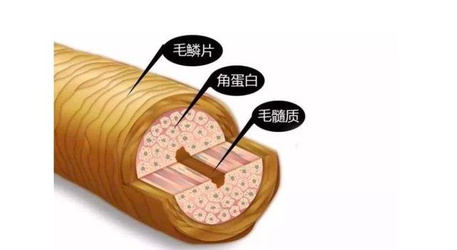 摄影教程配图